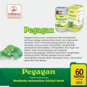 pegagan-centella-asiatica-herba