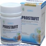 prostafit-herbal-prostat