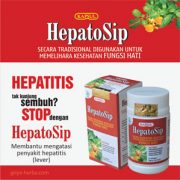 hepatosip-kapsul-hepatitis