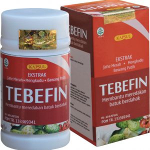 tebefin-solusi-tbc -paru